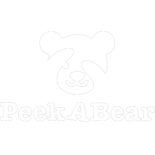 Peek A Bear 1 ByteCraft Logos for website 3 removebg preview